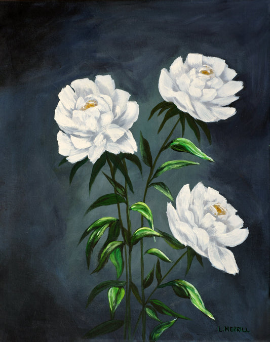 3 White Flowers, giclee print by Linda Merrill