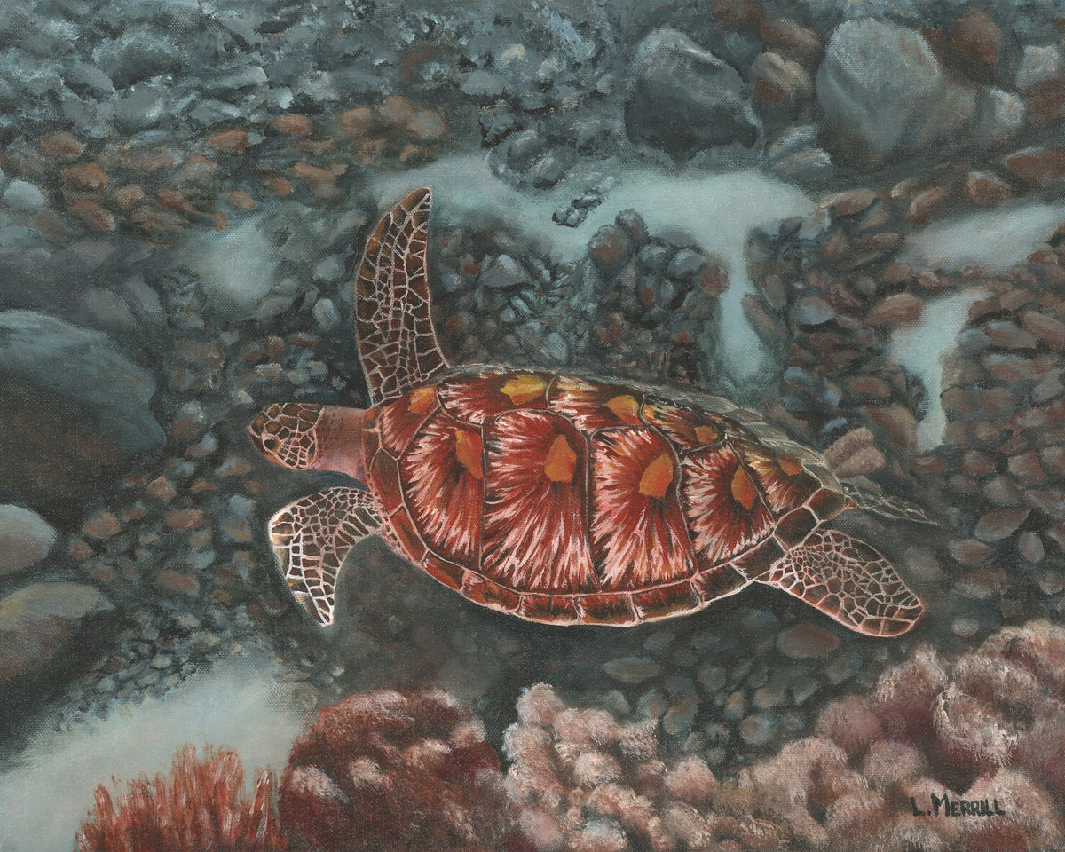 Sea Turtle (Print)